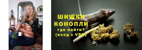 гидра Майский