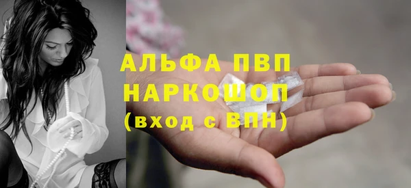 гидра Майский