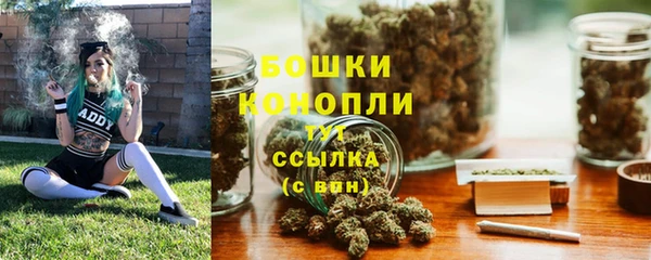 гидра Майский