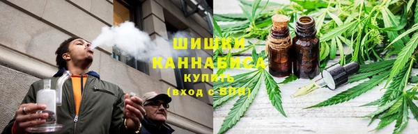 гидра Майский