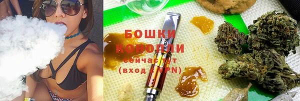 гидра Майский