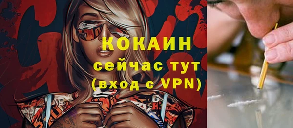 гидра Майский