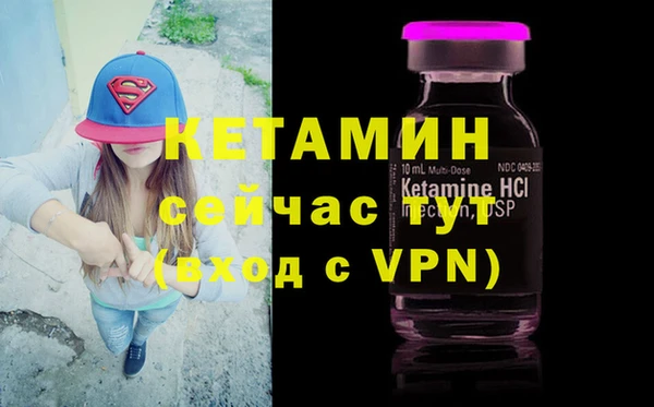 гидра Майский