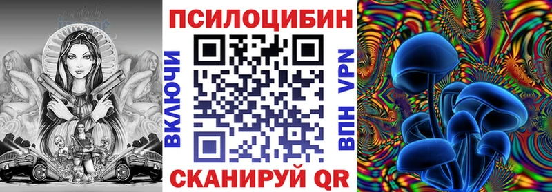 Галлюциногенные грибы Psilocybine cubensis  blacksprut сайт  Устюжна 